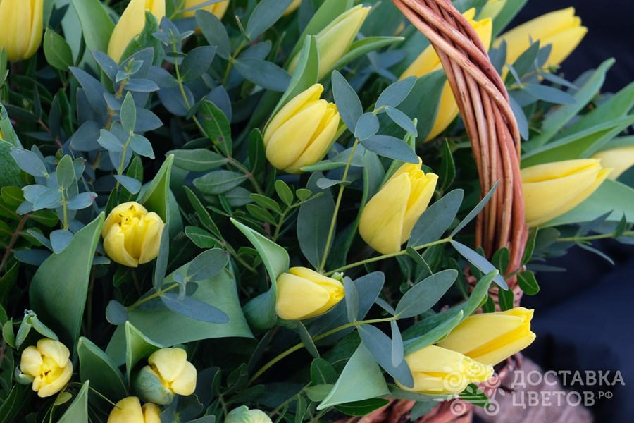 Корзина цветов Корзина желтых тюльпанов